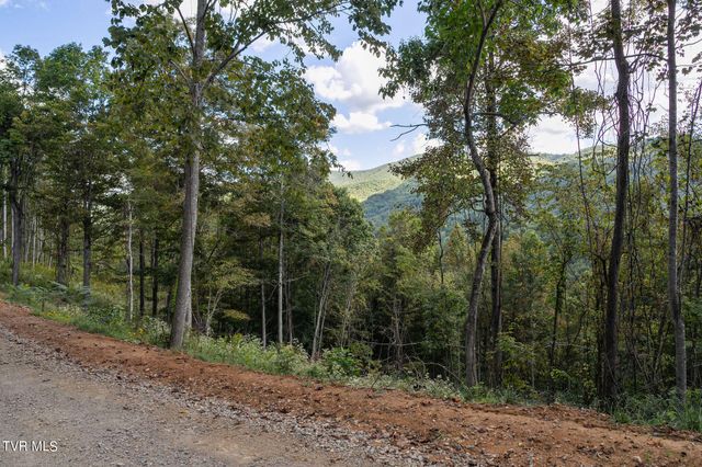 54 Summerfield Drive, Butler, TN 37640