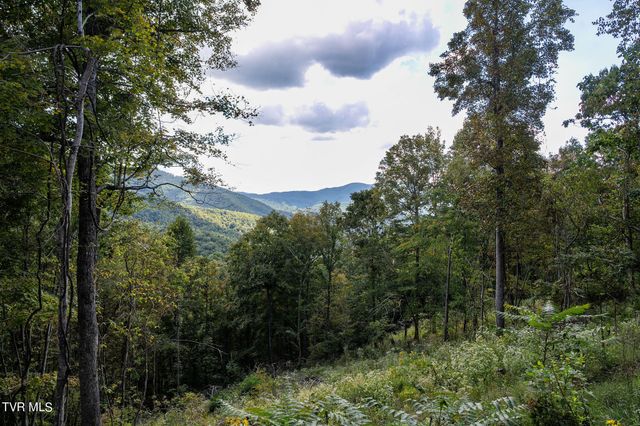 54 Summerfield Drive, Butler, TN 37640