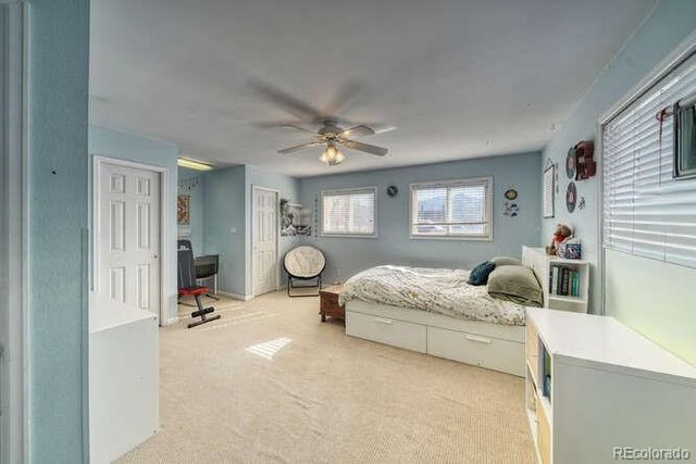 212 Blake Street, Salida, CO 81201