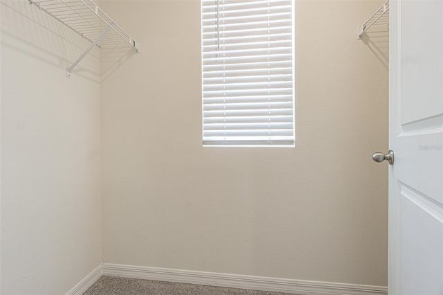 9213 MISSION BAY PL, Temple Terrace, FL 33637