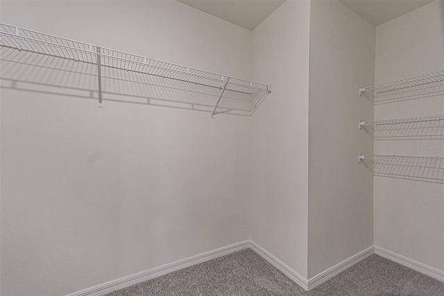 9213 MISSION BAY PL, Temple Terrace, FL 33637