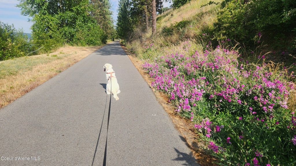 110 N Coeur d'Alene Avenue, Harrison, ID 83833 photo 44