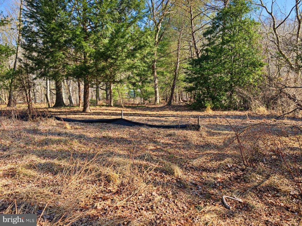 604 W CREEK RD, WEST CHESTER, PA 19382 — photo 3