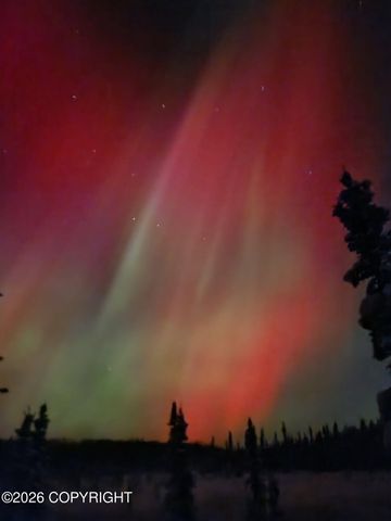 42175 W Lake Court, Soldotna, AK 99669