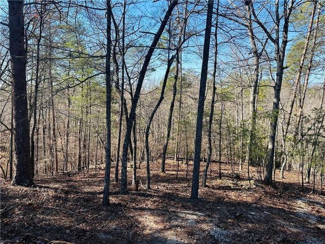 Lot 20 Crown Mountain Way, Dahlonega, GA 30533