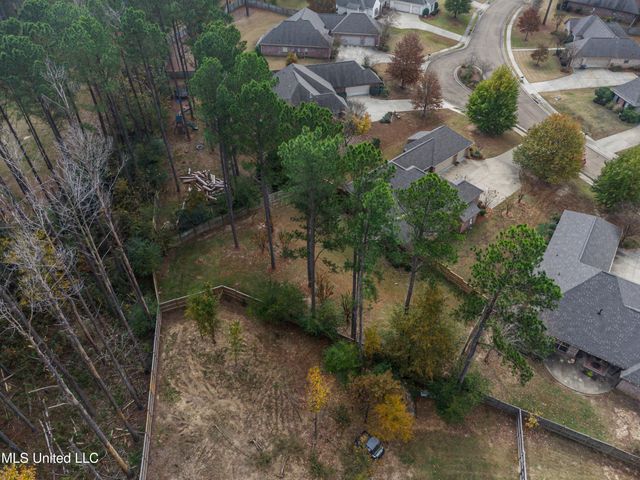104 Hawks Nest Cove, Madison, MS 39110