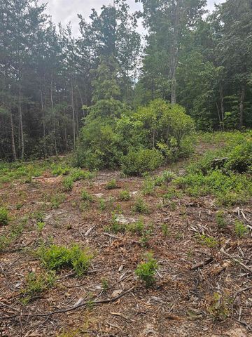 1146 Belue Mill Road, Landrum, SC 29356