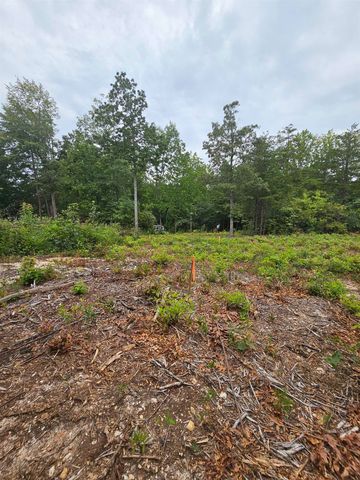 1146 Belue Mill Road, Landrum, SC 29356
