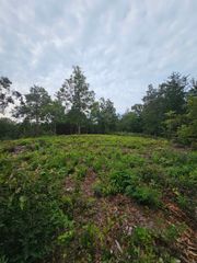 1146 Belue Mill Road, Landrum, SC 29356