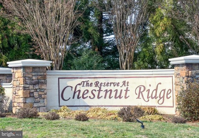 171 CINNAMON WAY, Magnolia, DE 19962