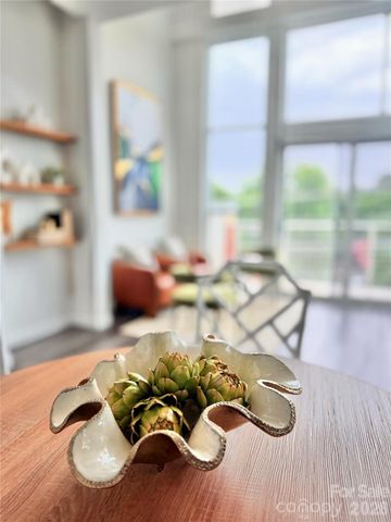 3123 N Davidson Street N 313, Charlotte, NC 28205