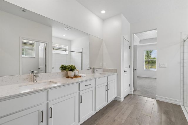 18238 PEARL VIEW PLACE, Lutz, FL 33548