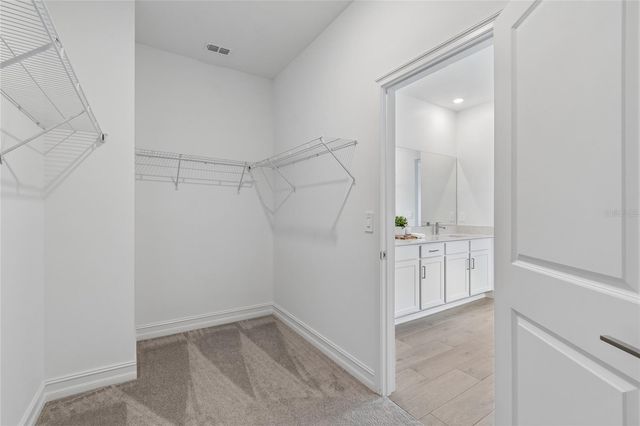 18238 PEARL VIEW PLACE, Lutz, FL 33548