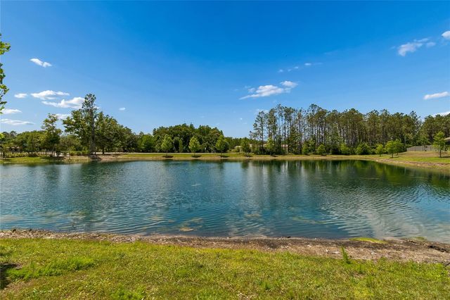 18238 PEARL VIEW PLACE, Lutz, FL 33548