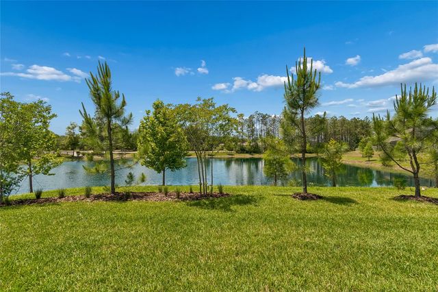 18238 PEARL VIEW PLACE, Lutz, FL 33548