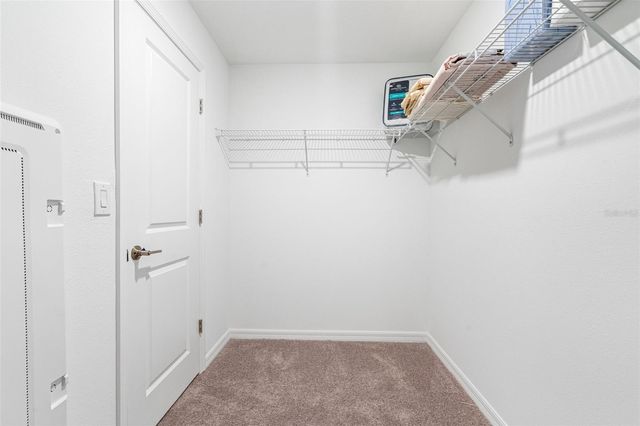 17425 NECTAR FLUME DRIVE, Land O Lakes, FL 34638