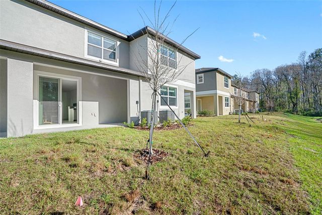 17425 NECTAR FLUME DRIVE, Land O Lakes, FL 34638