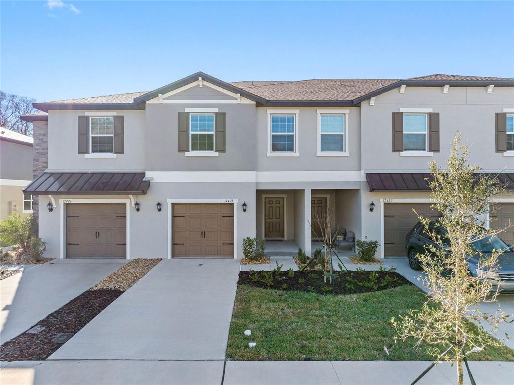 17425 NECTAR FLUME DRIVE, Land O Lakes, FL 34638