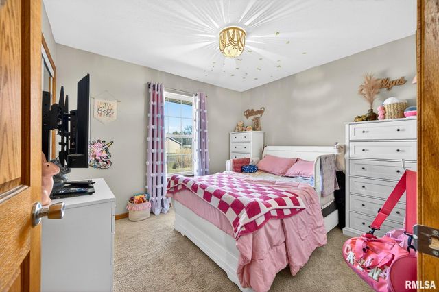 102 WILDFLOWER Avenue, Metamora, IL 61548