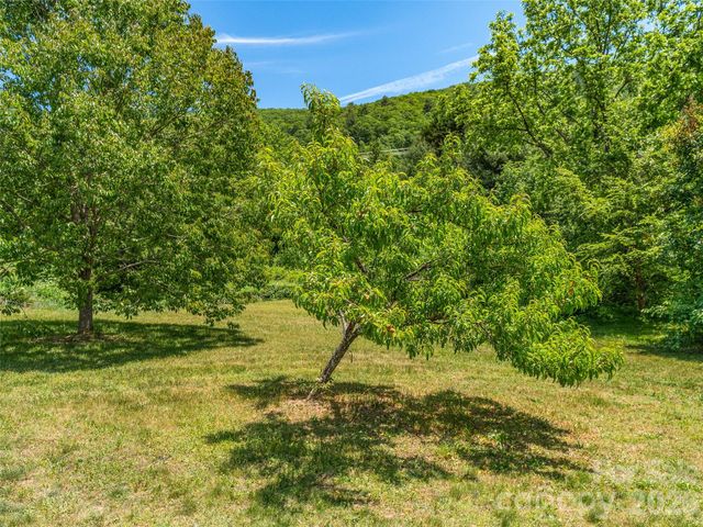 241 Pinners Cove Road, Asheville, NC 28803