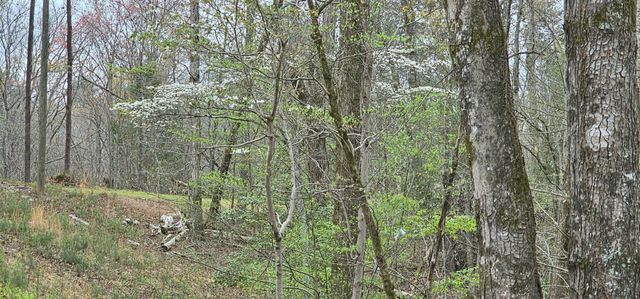 6870 Tennessee 360, Tellico Plains, TN 37385