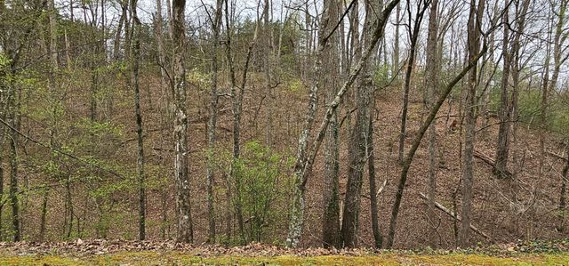 6870 Tennessee 360, Tellico Plains, TN 37385