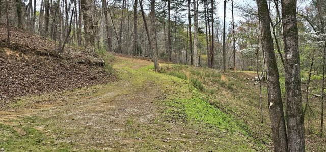 6870 Tennessee 360, Tellico Plains, TN 37385