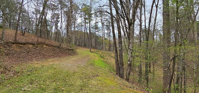6870 Tennessee 360, Tellico Plains, TN 37385