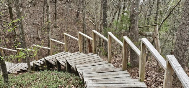 6870 Tennessee 360, Tellico Plains, TN 37385