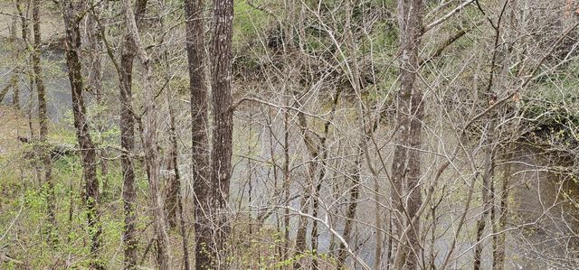 6870 Tennessee 360, Tellico Plains, TN 37385