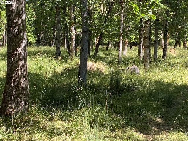 135 CHAMPAGNE Dr, Roseburg, OR 97471