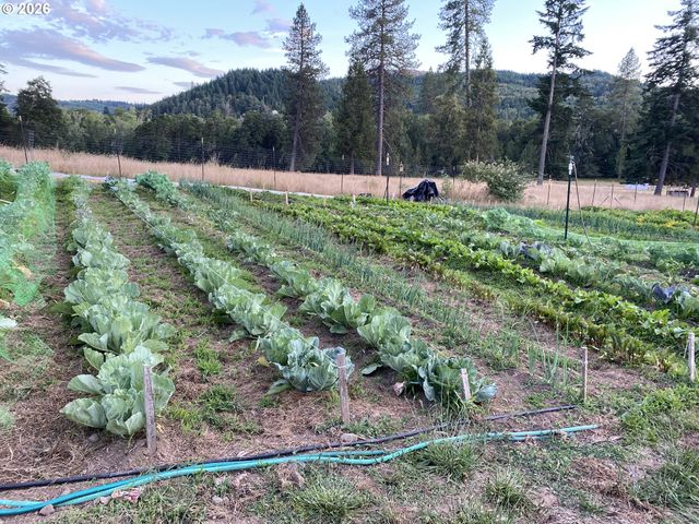 135 CHAMPAGNE Dr, Roseburg, OR 97471