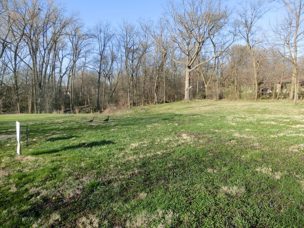 16979 FOREST GLEN Drive, Tinley Park, IL 60477