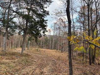 170 Glider WAY, Buchanan, VA 24066