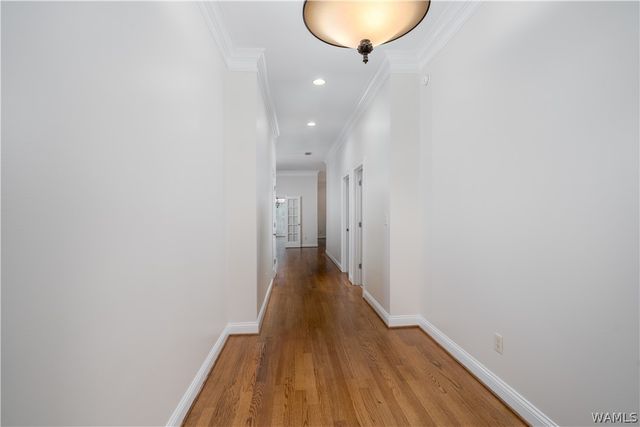 2348 Olympus, Tuscaloosa, AL 35406