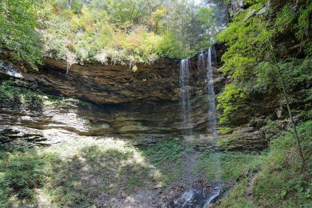 75B Deer Lick Trail, Monteagle, TN 37356