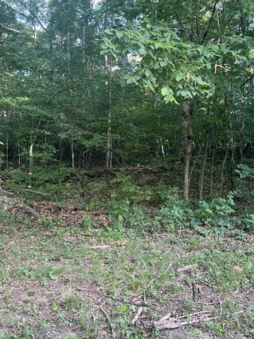 7270 Twelve Corners Rd, Lascassas, TN 37085