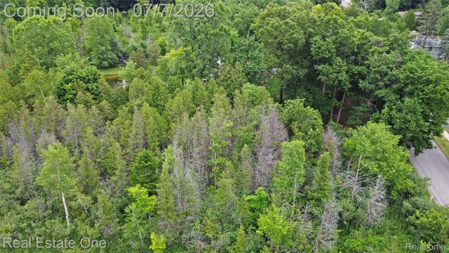 4 N Church Street, Brandon Charter Township, MI 48462