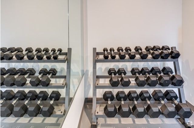 9-11 Burney 305, Boston, MA 02120