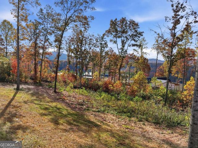 1077 Highgrove Drive, Talking Rock, GA 30175