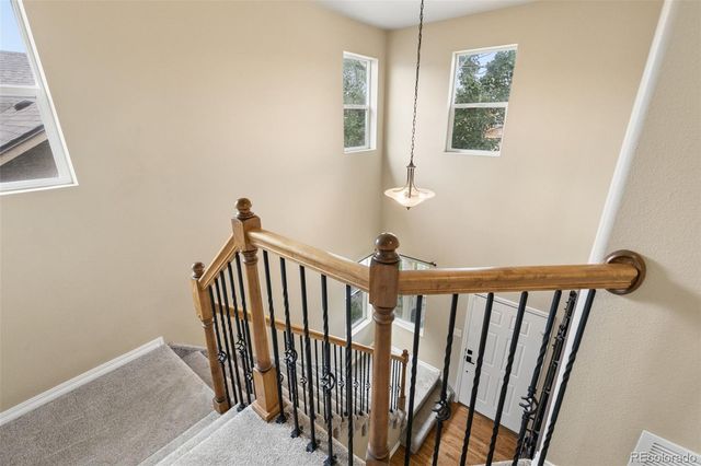 5011 Petrified Forest Trail, Colorado Springs, CO 80924
