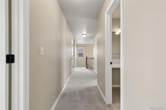 5011 Petrified Forest Trail, Colorado Springs, CO 80924