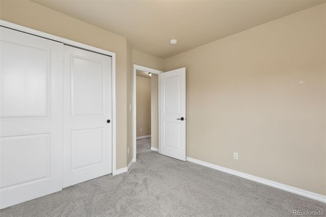 5011 Petrified Forest Trail, Colorado Springs, CO 80924