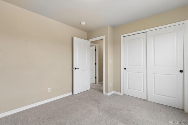 5011 Petrified Forest Trail, Colorado Springs, CO 80924