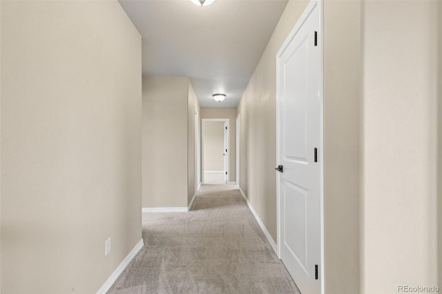 5011 Petrified Forest Trail, Colorado Springs, CO 80924