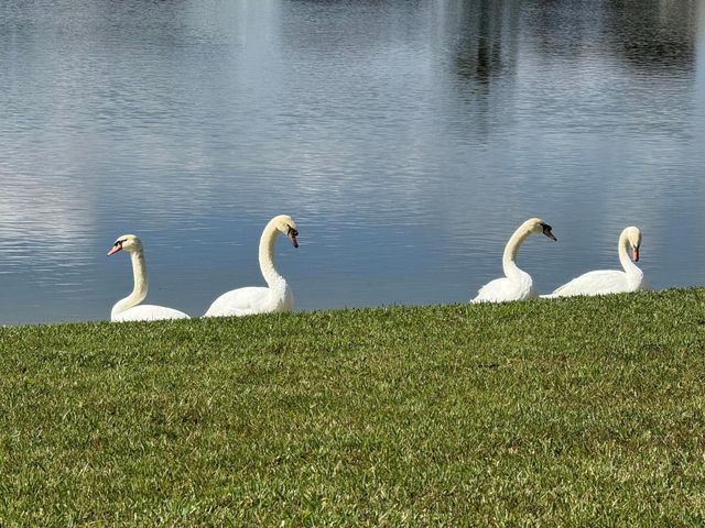 8913 SW Chevy Circle, Stuart, FL 34997