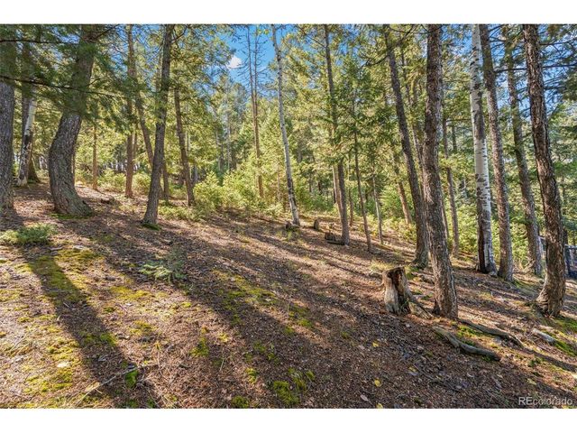 27882 Bonanza Dr, Evergreen, CO 80439