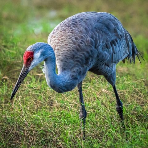 5 AYE COURT, Placida, FL 33946