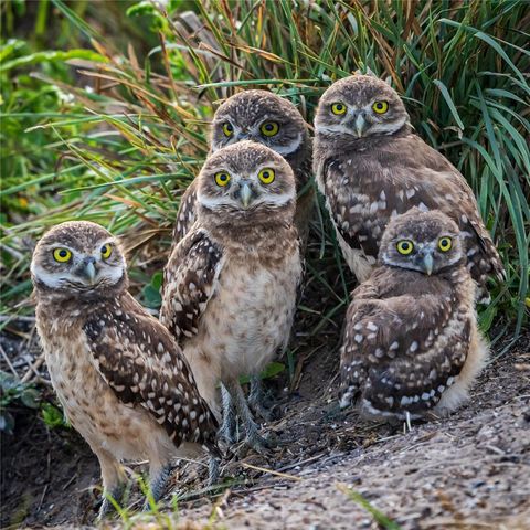 5 AYE COURT, Placida, FL 33946