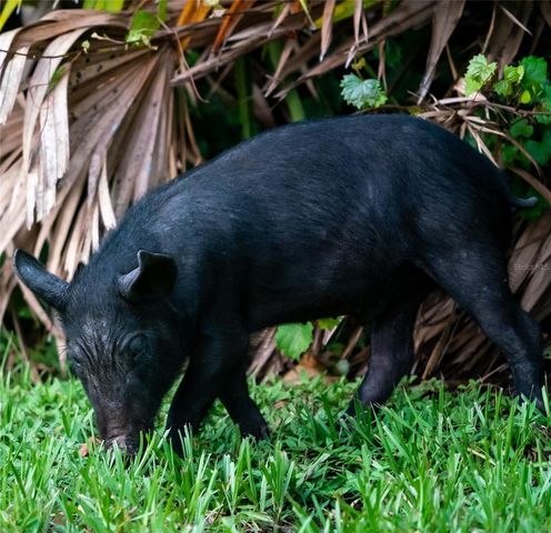 5 AYE COURT, Placida, FL 33946